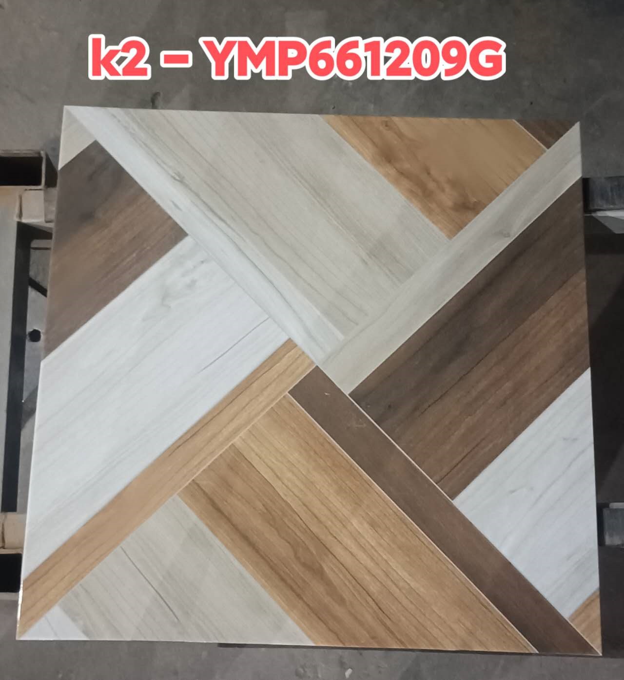 YMP6661209G