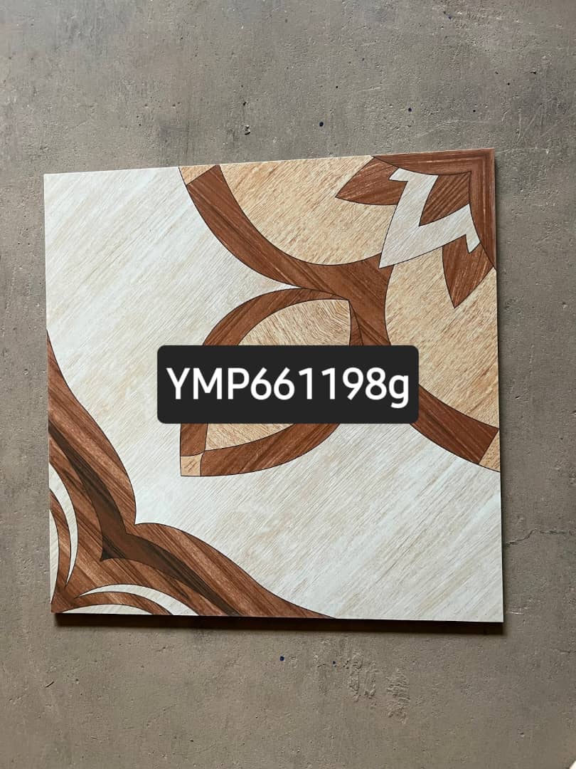YMP661198g